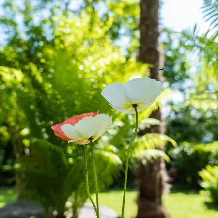 Flow Astoria Appartamento