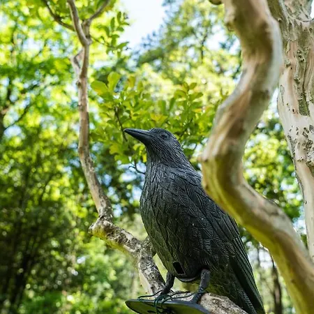 Flow Astoria Appartamento