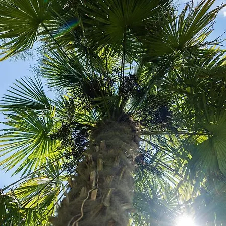 Flow Astoria Apartment