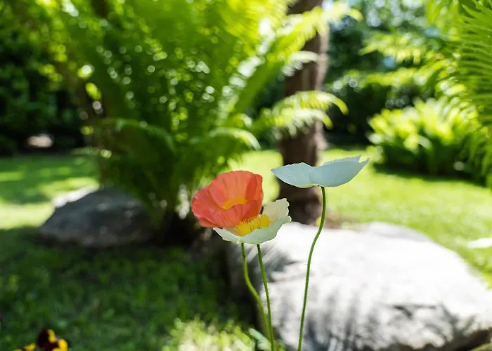 Apartment Flow Astoria Merano