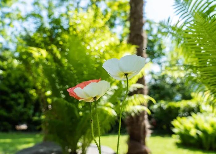 Flow Astoria Apartment