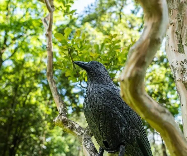 Flow Astoria Apartment