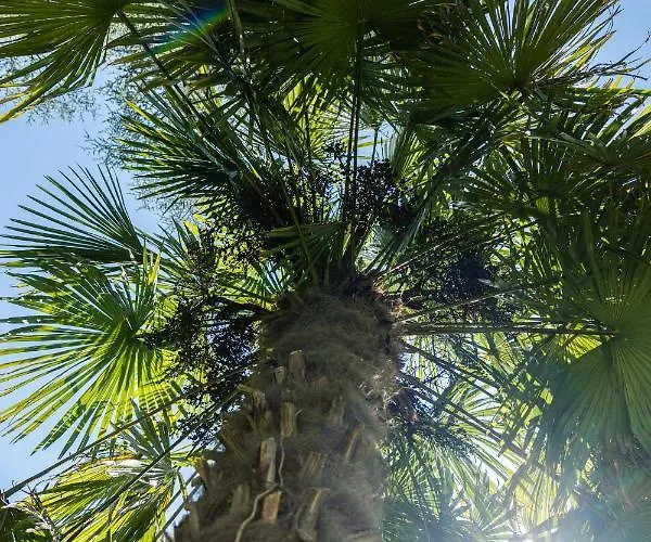 Flow Astoria Apartment